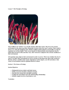 Lesson 7: The Principles of Ecology These brilliant red "feathers" are