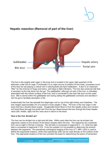 Hepatic Resection (Removal of Part of the Liver)
