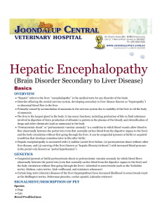 Hepatic Encephalopathy - Joondalup Central Veterinary Hospital