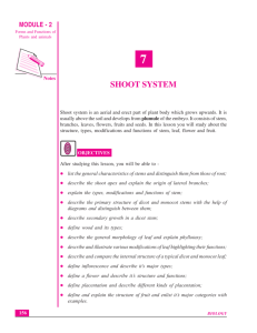 SHOOT SYSTEM