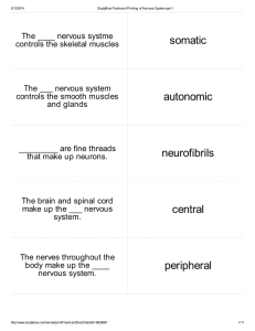 somatic autonomic neurofibrils central peripheral