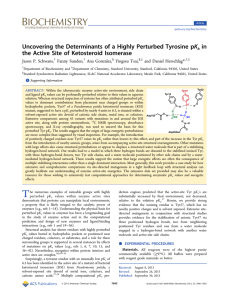 Uncovering the Determinants of a Highly Perturbed Tyrosine pKa in