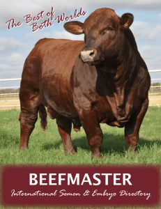 Beefmaster Breeders United