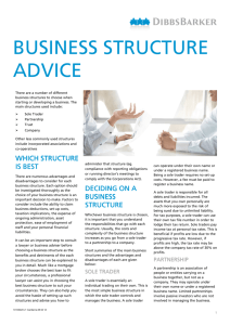 business structure advice