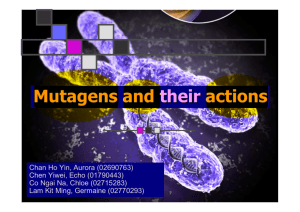 Mutagens and their actions