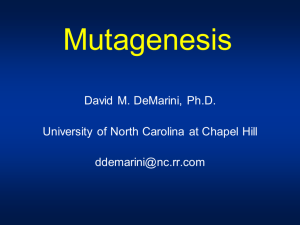 David M. DeMarini, Ph.D. University of North Carolina at