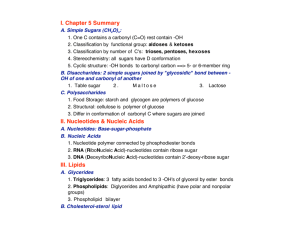 I. Chapter 5 Summary II. Nucleotides & Nucleic Acids III. Lipids