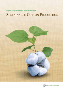 sustainable cotton production