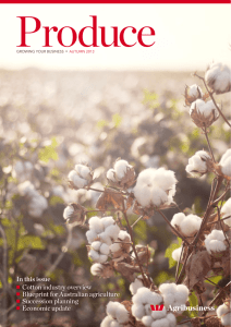 In this issue Cotton industry overview Blueprint for