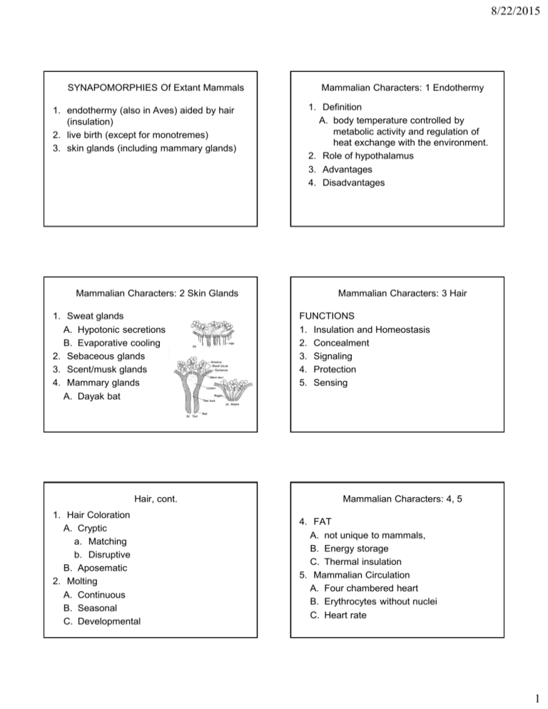 Mammalian Characteristics