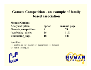 Gamete Competition - an example of family