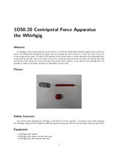 1D50.20 Centripetal Force Apparatus the Whirligig
