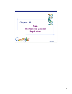 DNA Replication - Explore Biology