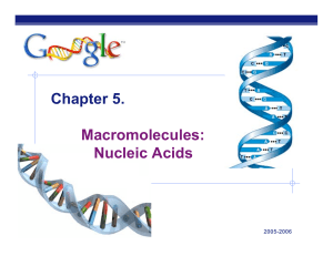 Chapter 5. Macromolecules: Nucleic Acids