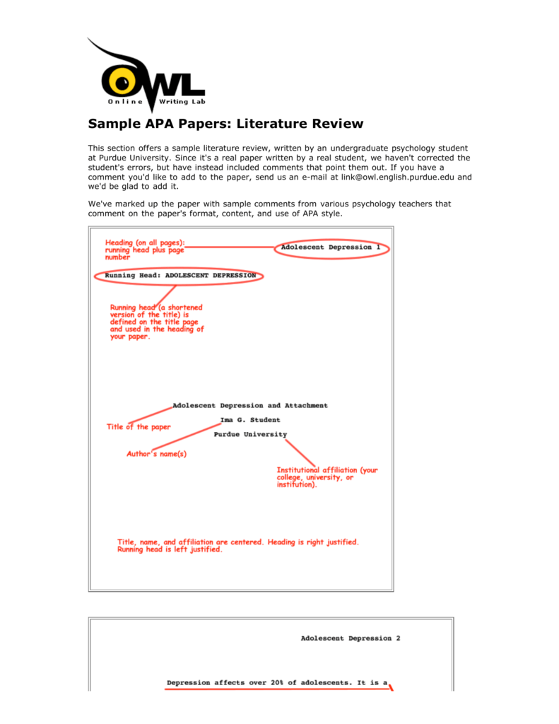 example of apa format article review