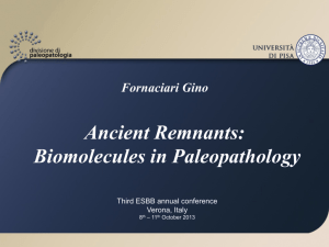 Ancient Remnants: Biomolecules in Paleopathology