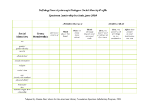 Social Identity Profile Spectrum Leadership Institute, June 2010