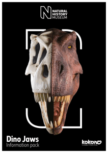 Dino Jaws - Natural History Museum