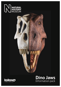 Dino Jaws - Natural History Museum