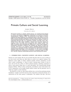 Primate Culture and Social Learning
