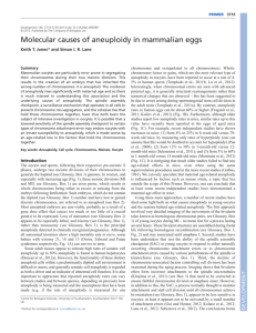 Molecular causes of aneuploidy in mammalian eggs