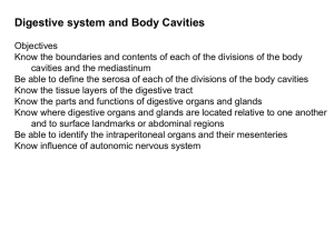 Digestive system and Body Cavities