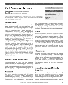 Cell Macromolecules