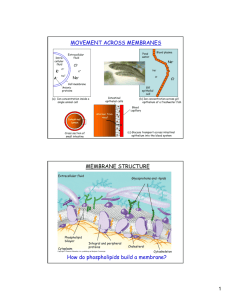 Sample lecture