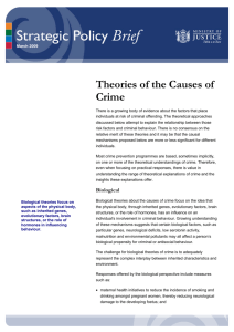 Theories of the causes of crime