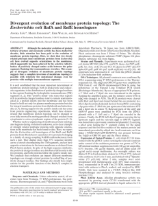 Divergent evolution of membrane protein topology: The Escherichia