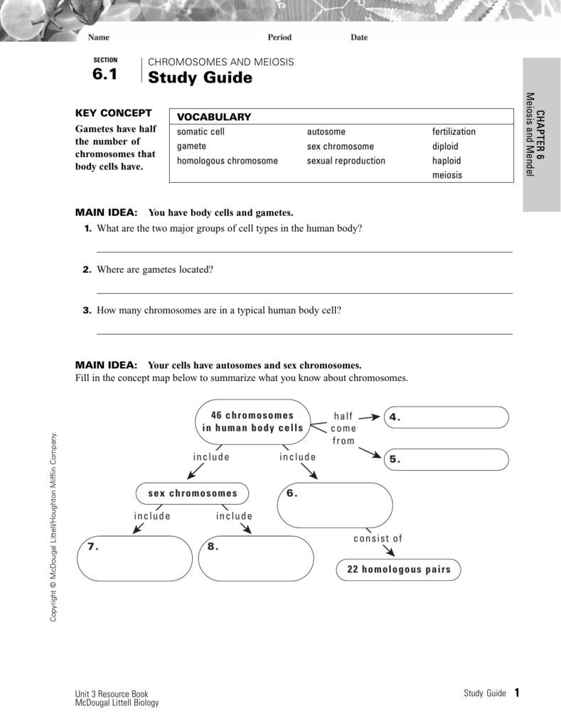 study-guide