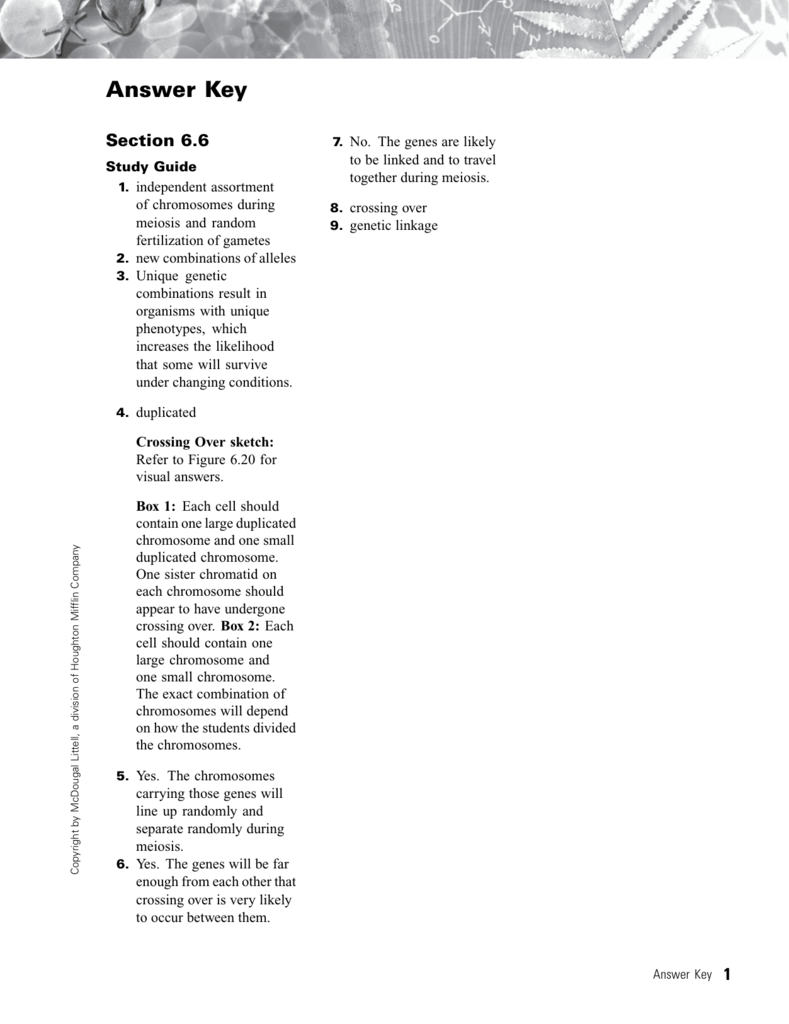 Chapter 6 Meiosis Worksheet Answers