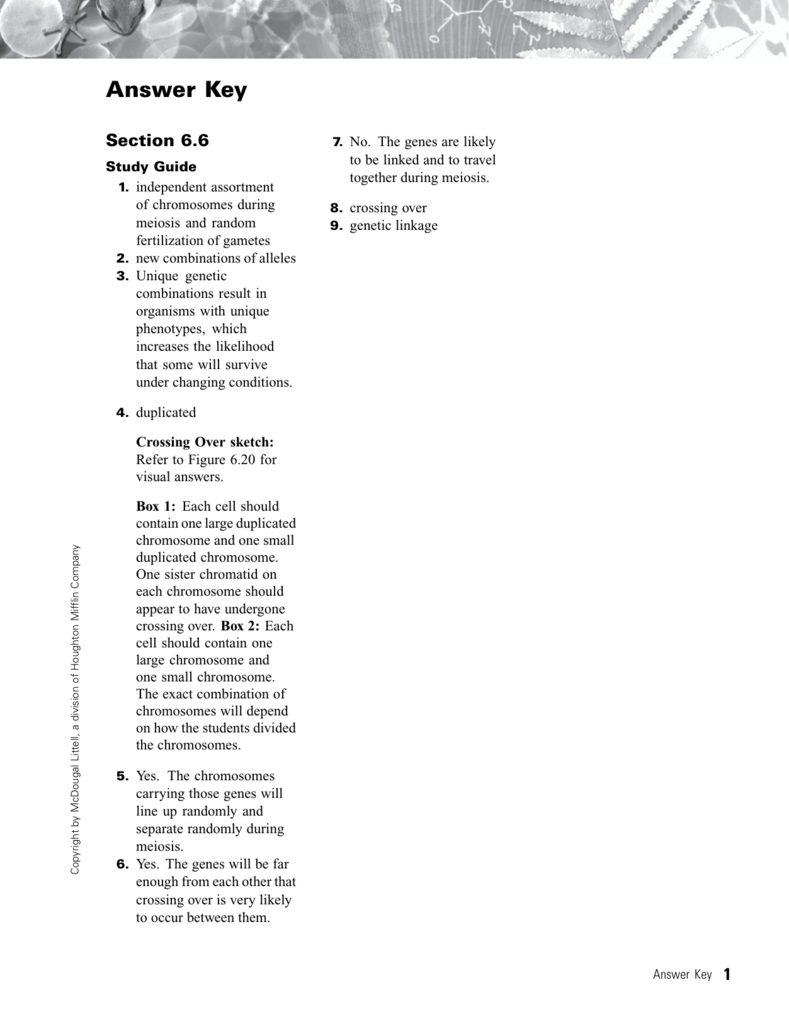 Answer Key Glasgow Independent Schools