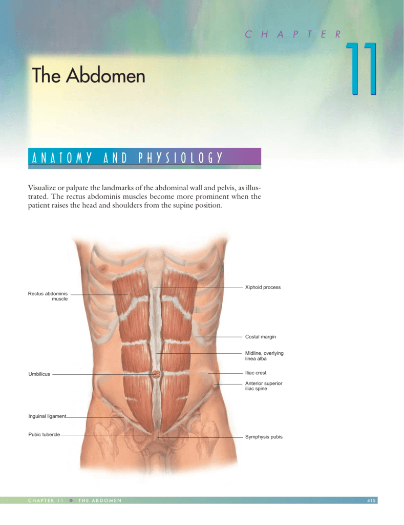 the-four-quadrants-of-the-stomach