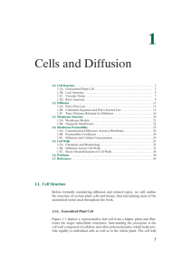 Cells and Diffusion