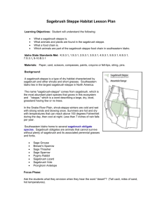 Sagebrush Steppe Habitat Lesson Plan
