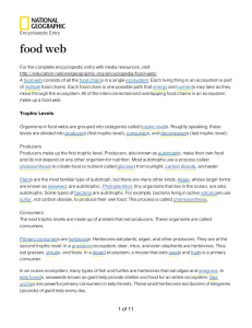 food web - National Geographic