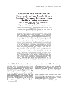Activation of heat shock factor 1 by hyperosmotic or hypo