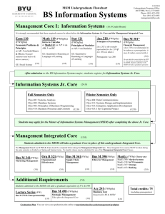 Management Core I: Information Systems Additional Requirements