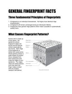 Fingerprint Facts