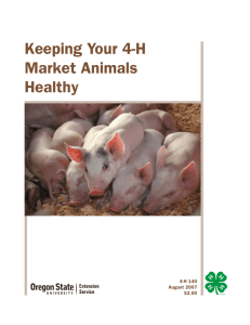 Keeping Your 4-H Market Animals Healthy