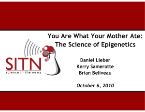 You Are What Your Mother Ate: The Science of Epigenetics