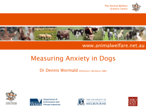 Measuring Anxiety in Dogs - Animal Welfare Science Centre