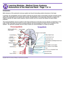 Learning Modules - Medical Gross Anatomy Autonomics Of The