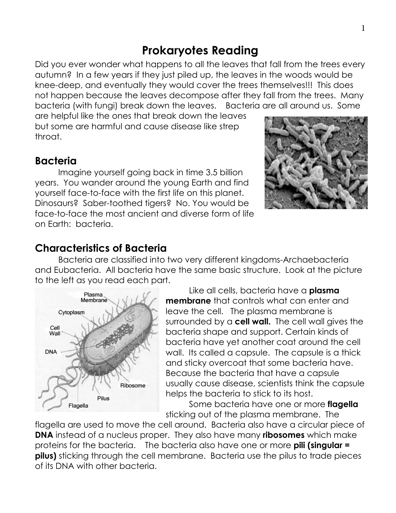 Prokaryotes Reading Intended For Prokaryotes Bacteria Worksheet Answers