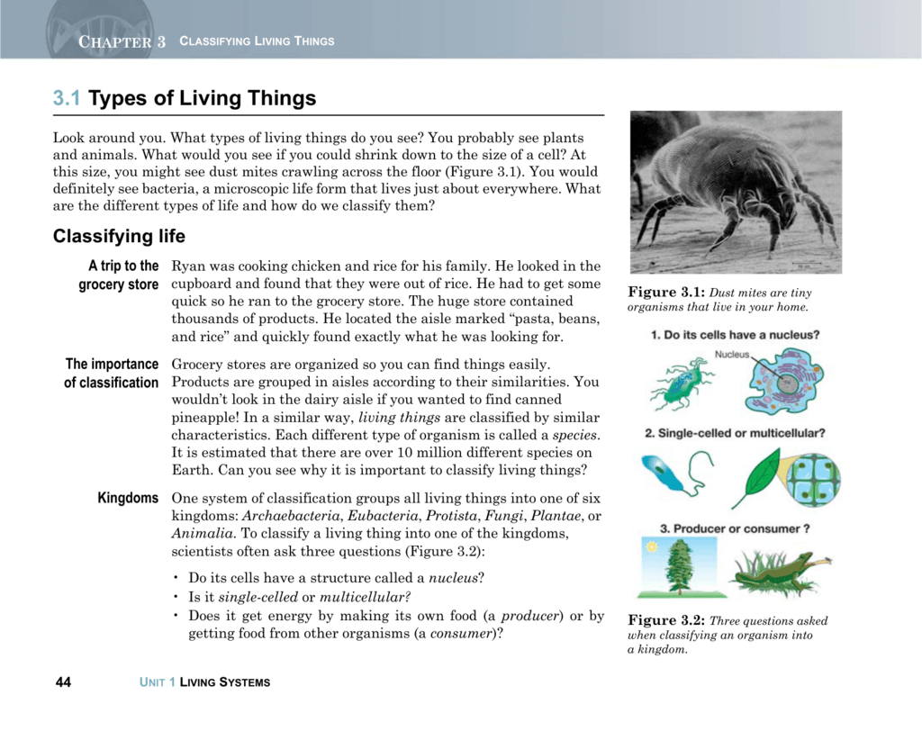 3 1 Types Of Living Things