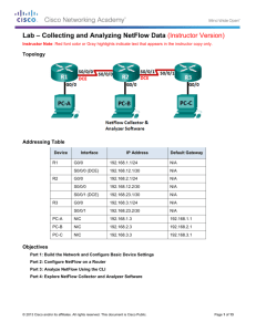 Lab – Collecting and Analyzing NetFlow Data (Instructor Version)