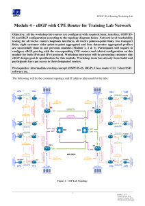 4-IPv6 Module 04 Customer e..