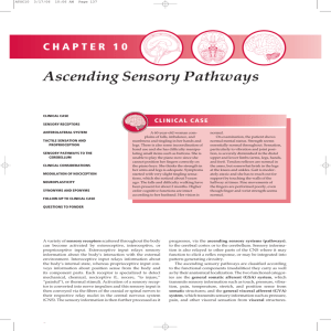 Chapter 10 — Ascending Sensory Pathways