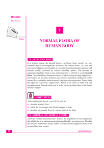 Lesson 7.Normal Flora of human body